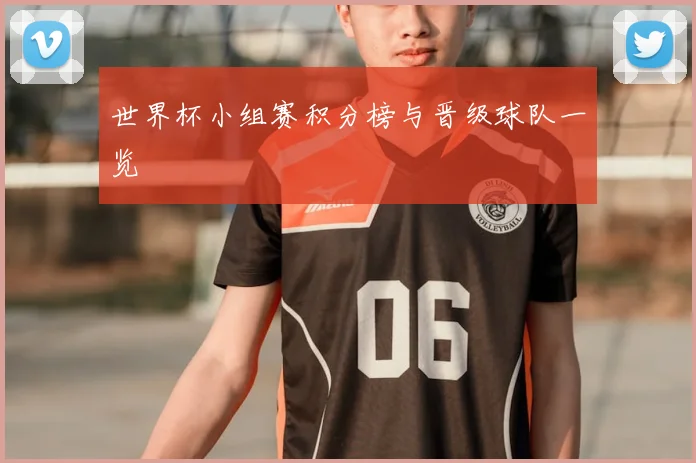 世界杯小组赛积分榜与晋级球队一览