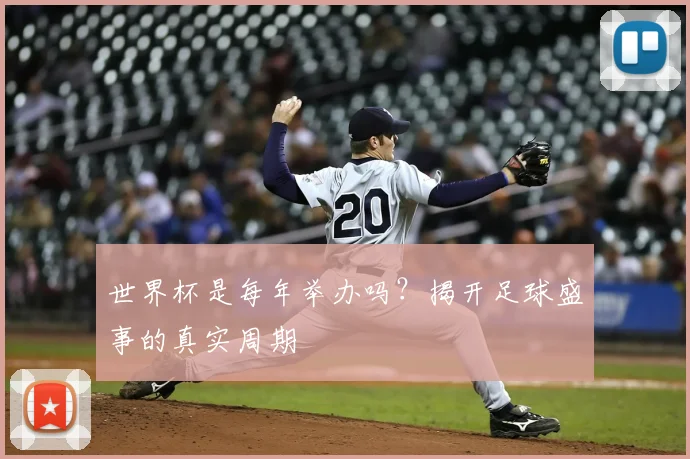 世界杯是每年举办吗？揭开足球盛事的真实周期