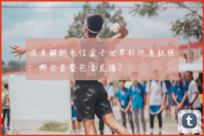 深度解析电信盒子世界杯观看权限：哪些套餐包含直播？