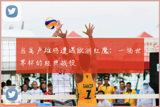 当高卢雄鸡遭遇欧洲红魔：一场世界杯的经典战役