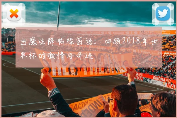 当魔法降临绿茵场:回顾2018年世界杯的激情与奇迹