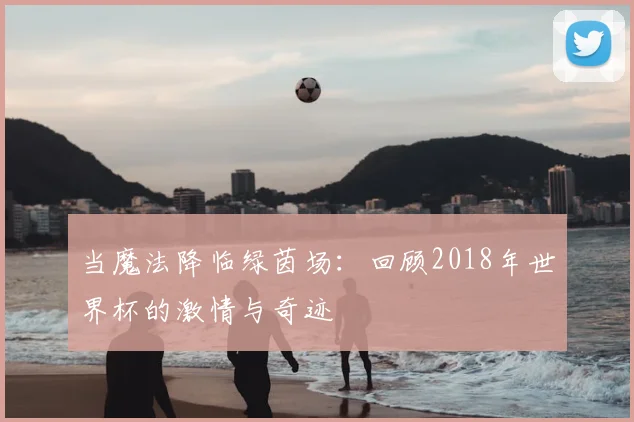 当魔法降临绿茵场:回顾2018年世界杯的激情与奇迹