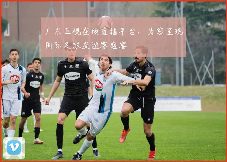 广东卫视在线直播平台，为您呈现国际足球友谊赛盛宴